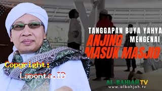 Anjing Masuk Masjid Terbaru Hari Ini Sabtu 27 April 2024