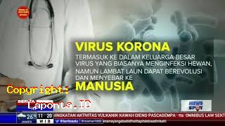 Apa Itu Virus Corona Terbaru Hari Ini Minggu 19 Mei 2024