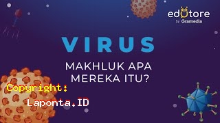 Ciricirivirus Terbaru Hari Ini Jumat 3 Mei 2024