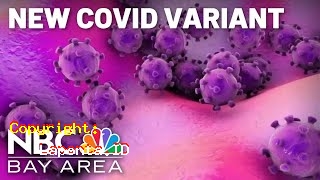 Penyemprotan Racun Virus Corona Terbaru Hari Ini Minggu 5 Mei 2024